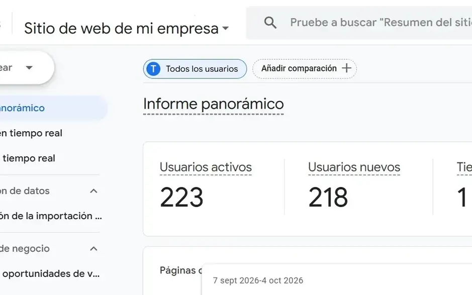 Panel de analítica web con métricas de visitas y rendimiento